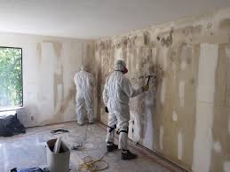 Why You Should Choose Our Mold Remediation Services in Woonsocket, RI